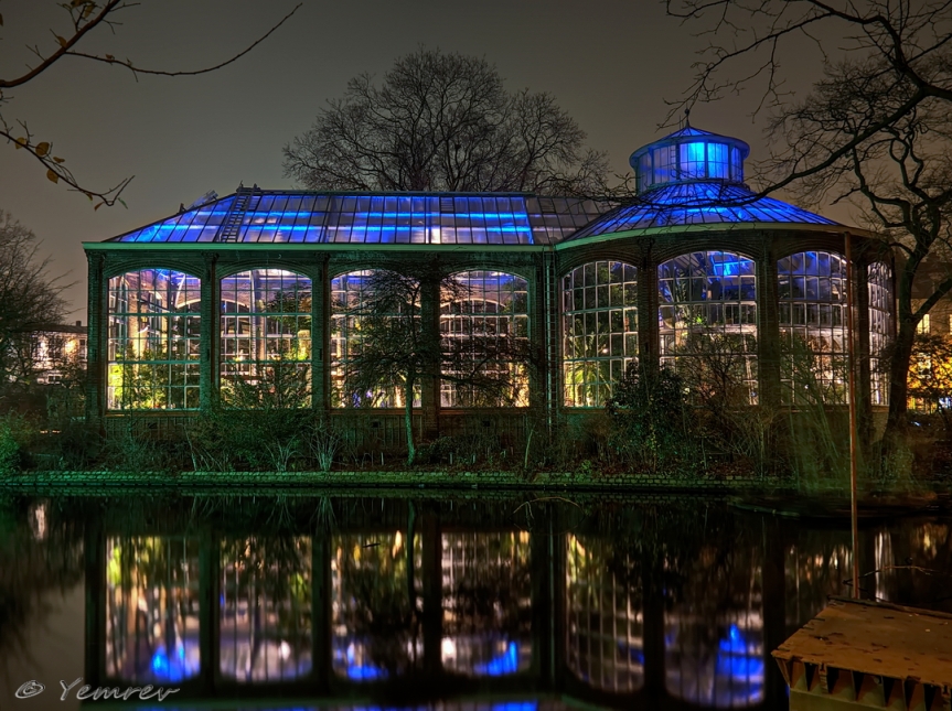 Amsterdam, Palmenkas, Hortus Botanicus